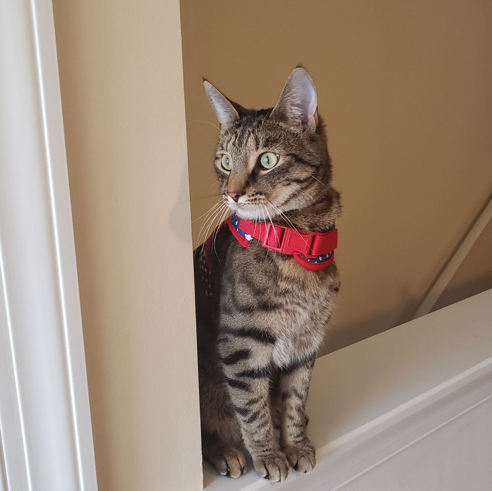 Mystery box Reserved